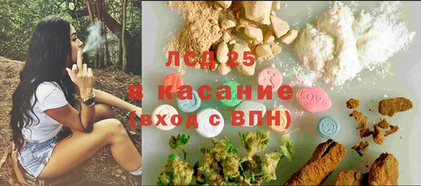 сатива Армянск