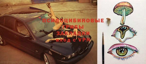 ешки Аркадак