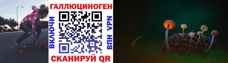 Псилоцибиновые грибы мицелий  где найти наркотики  гидра онион  Моршанск 